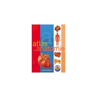 Atlas de anatomie-SN